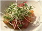 sashimi